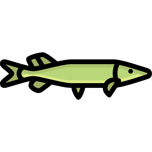 Pike animal fish animals icon
