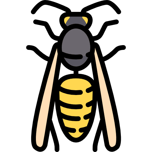 Wasp wings animal insect icon
