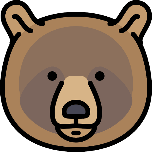 Bear bear mammal zoo icon
