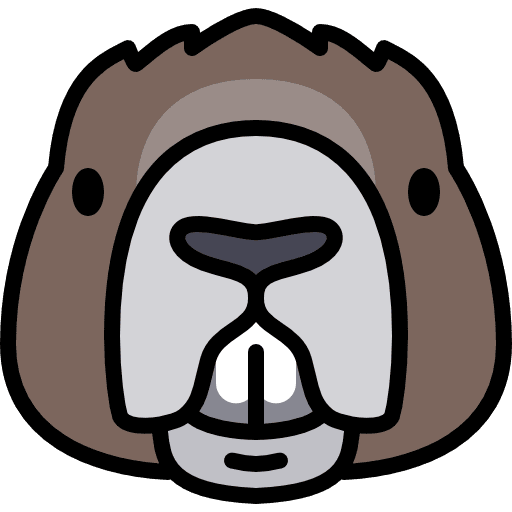 Beaver mammal animals zoo icon