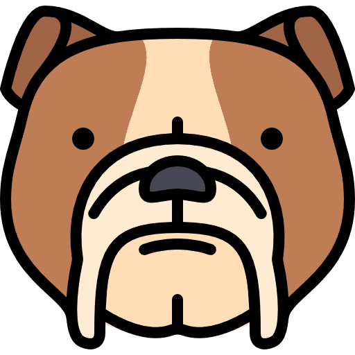 Bulldog bulldog dog mammal icon