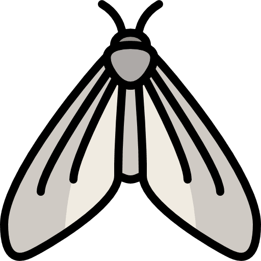 Butterfly butterfly moths insect icon