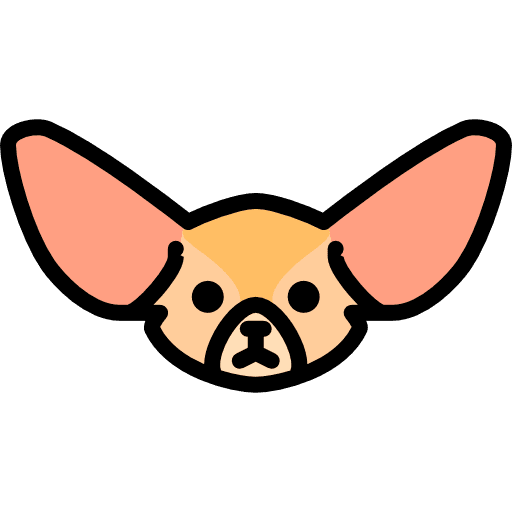Fennec zoo animals wild life icon