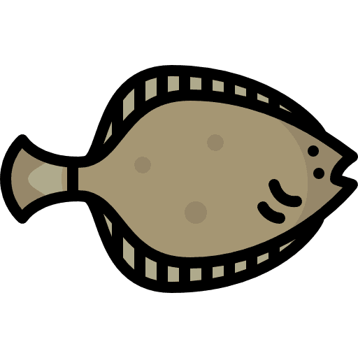 Flounder aquatic flounder animals icon