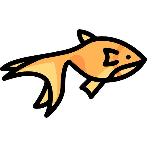 Goldfish ocean goldfish animals icon