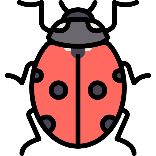 Ladybug insect animal ladybug icon