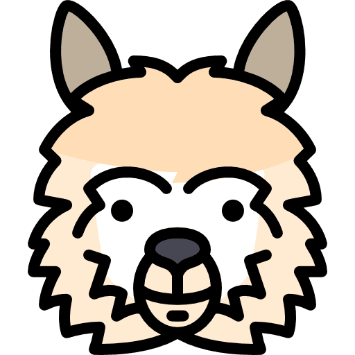 Llama llama zoo animal icon