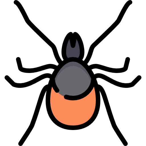 Mite parasite insect animal icon