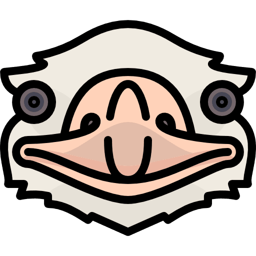 Ostrich animal kingdom animals bird icon