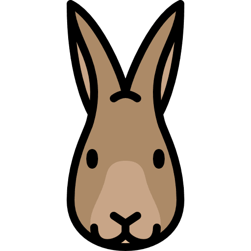Rabbit head animal frontal view icon