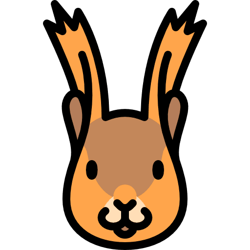 Squirrel animal kingdom animals squirrel icon