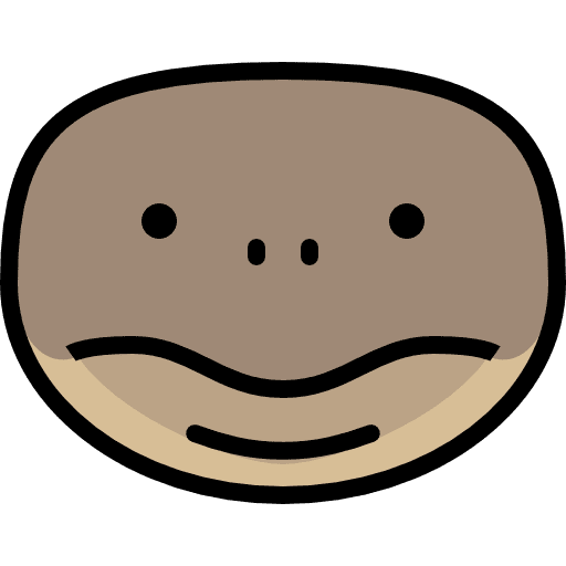 Turtle animals animal kingdom wild life icon