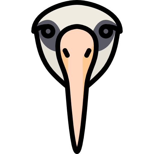 Albatross wildlife pray animal icon