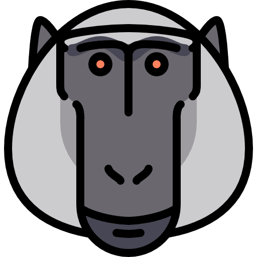 Baboon wild animals zoo icon