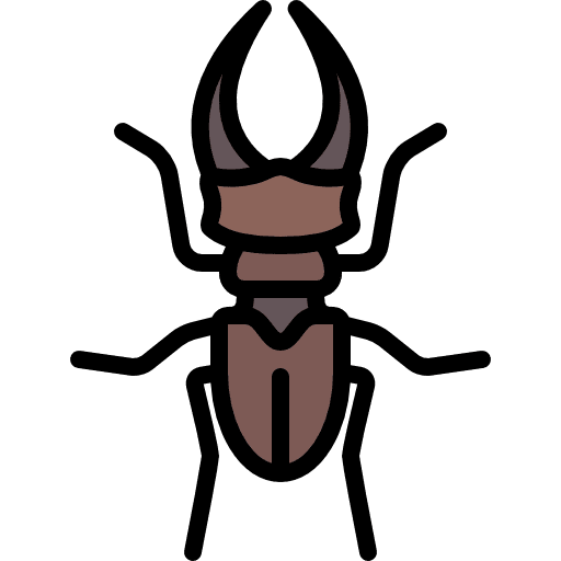 Beetle animal wild animals icon