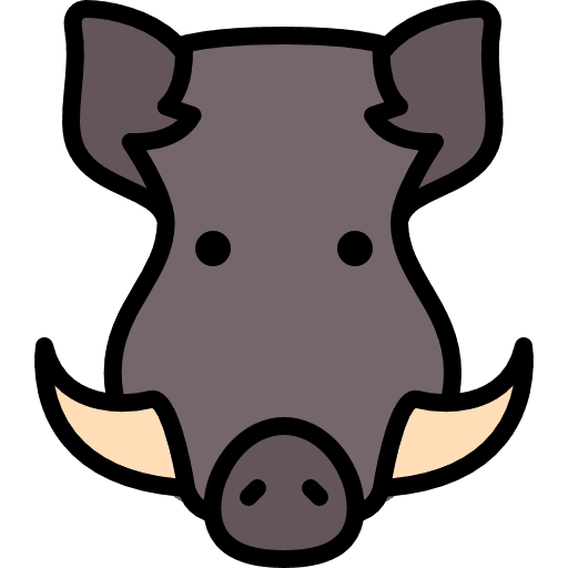 Boar boar mammal animals icon