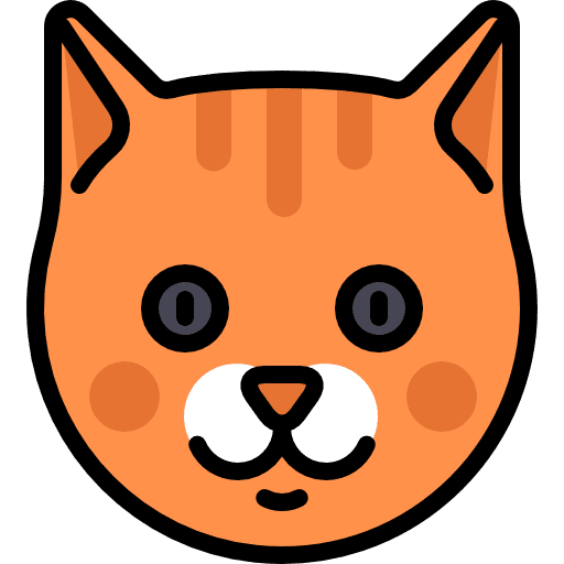 Cat mammal cat pet icon
