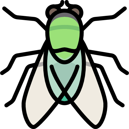 Fly fly animals animal kingdom icon