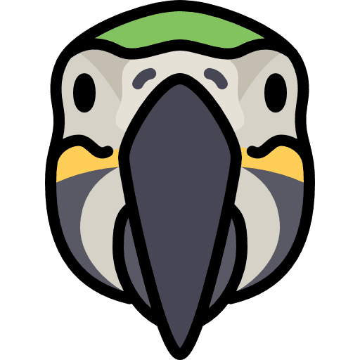 Parrot parrot animal america icon
