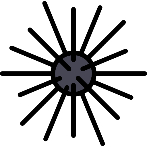 Sea urchin wild aquarium sea urchin icon