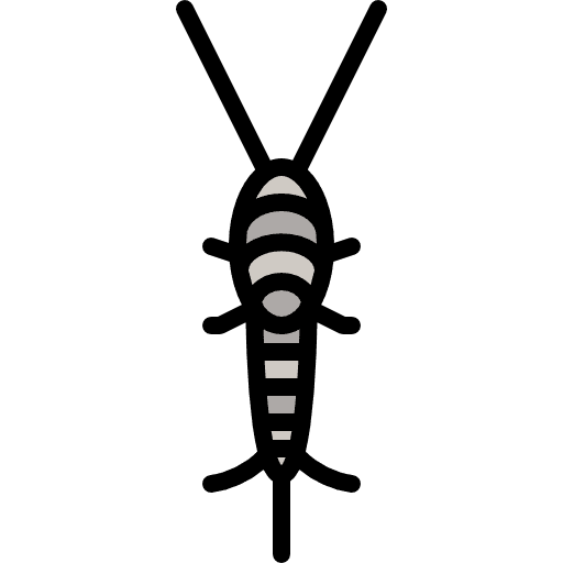 Silverfish entomology silverfish infestation icon