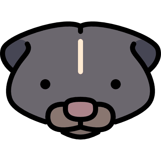 Skunk america wild wildlife icon