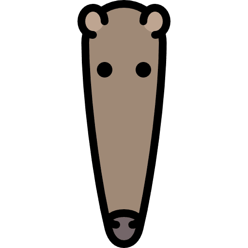 Anteater animals zoo wild life icon