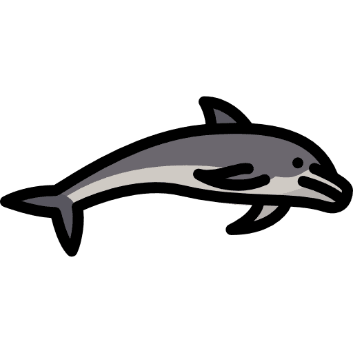 Dolphin aquarium animal mammal icon