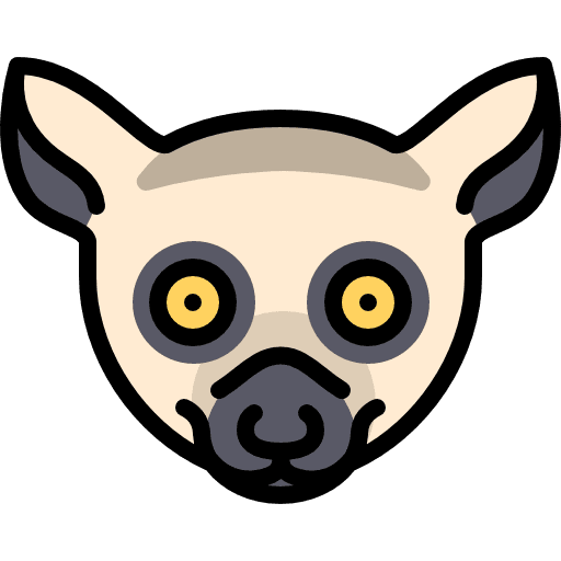 Lemur zoo lemur wild icon