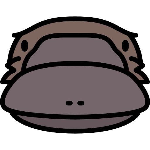 Platypus zoo animal wild icon