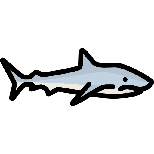 Shark animals aquarium dangerous icon