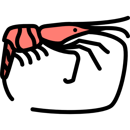 Shrimp animal shrimp animals icon
