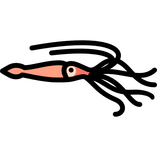 Squid squid animal kingdom animals icon
