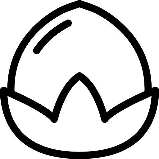 Nut seeds hazelnut food icon