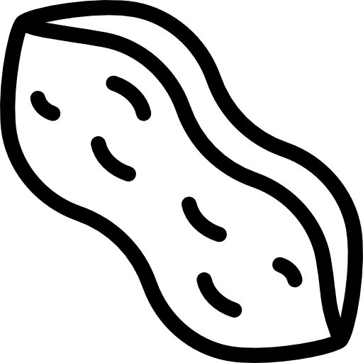 Peanut salty snack organic icon