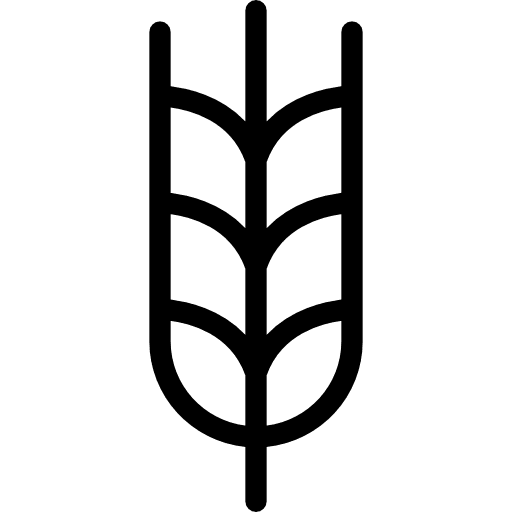 Wheat wheat grain food and restaurant nature icon