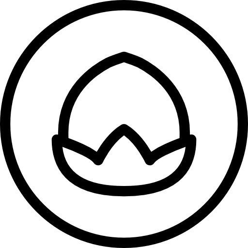 Nut nut natural food icon