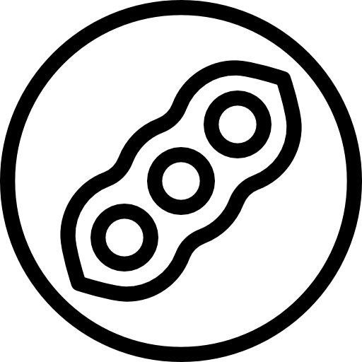 Soy seed soy food and restaurant icon