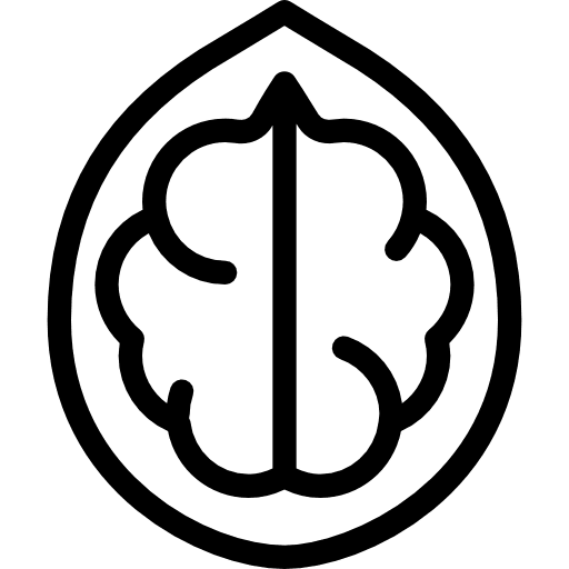 Walnut vegan nut food icon