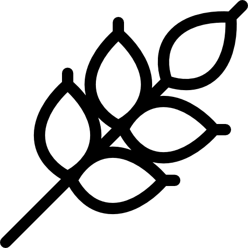 Wheat nature grain grains icon