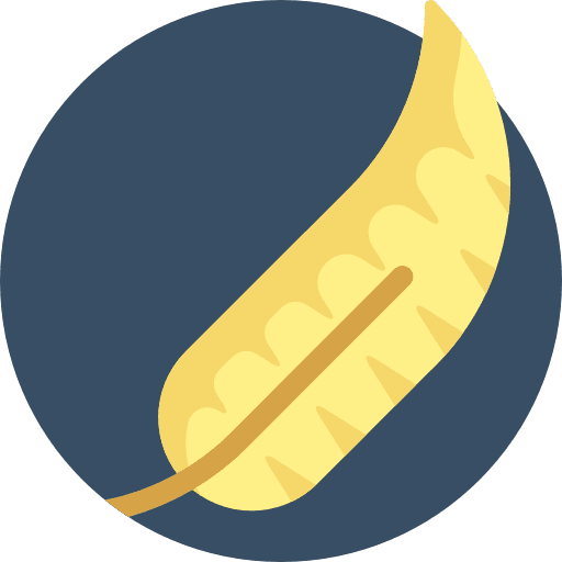 Feather vintage write writing tool icon