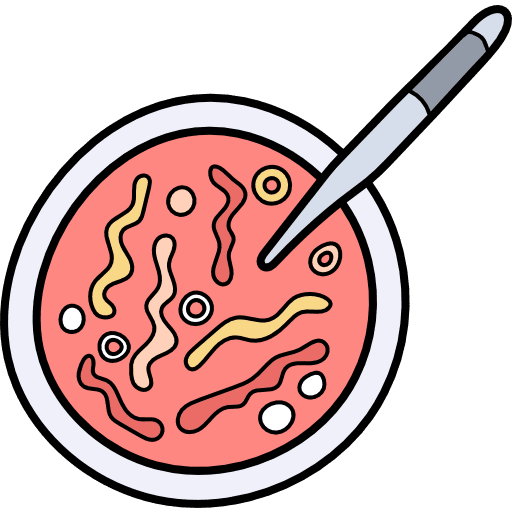 Bacterias bacterias science biology icon