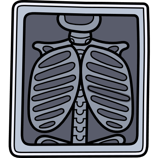 X ray x rays radiology skeleton icon