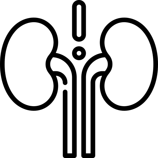 Kidney urologist failure illness icon