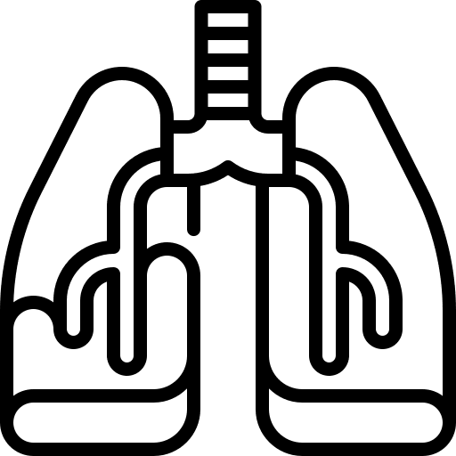 Pneumonia lungs coronavirus organ icon