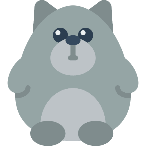 Cat cat kitten animal icon