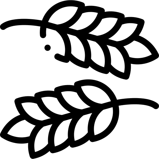 Grain organic nature plant icon