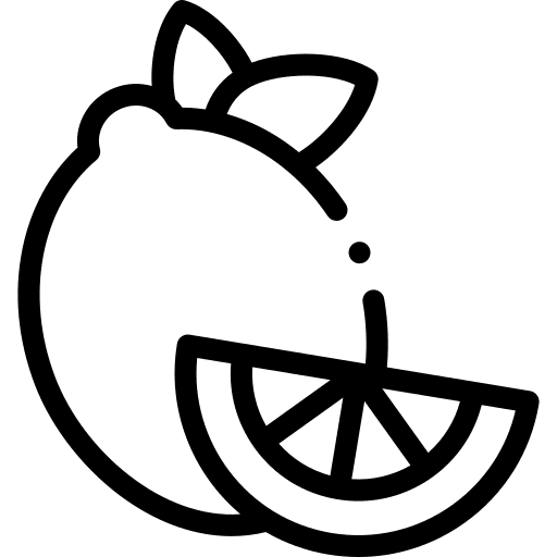 Lemon diet vegetarian lemon icon