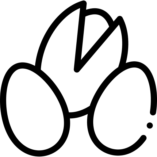 Pistachio vegetarian vegan natural icon