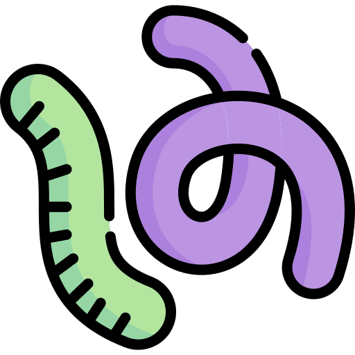 Jelly jelly candy gum icon